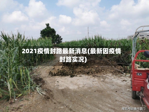 2021疫情封路最新消息(最新因疫情封路实况)