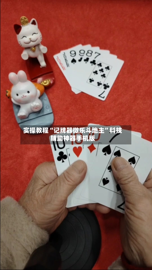 实操教程“记牌器微乐斗地主”科技辅助神器手机版