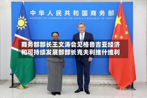 商务部部长王文涛会见格鲁吉亚经济和可持续发展部部长克夫利维什维利