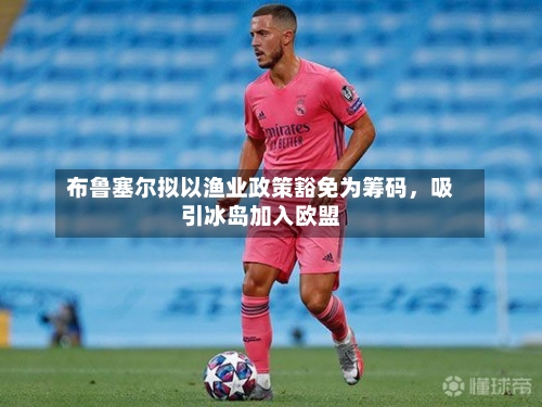 布鲁塞尔拟以渔业政策豁免为筹码	，吸引冰岛加入欧盟-第2张图片