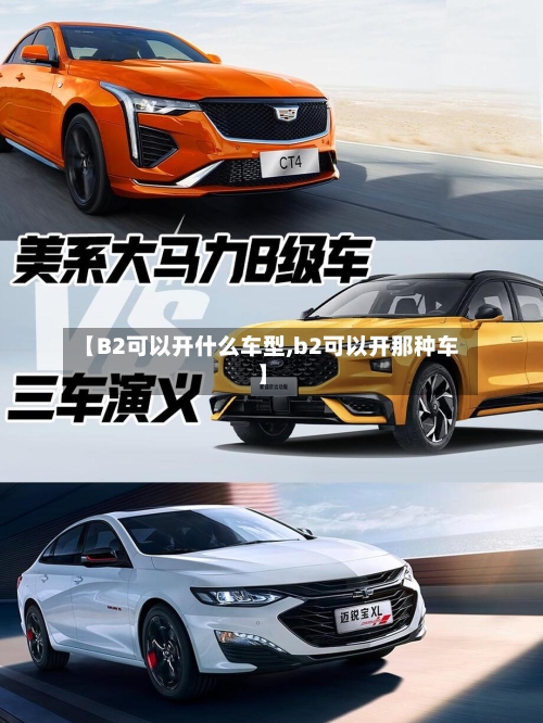 【B2可以开什么车型,b2可以开那种车】