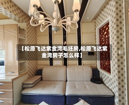 【松原飞达紫金湾毛坯房,松原飞达紫金湾房子怎么样】