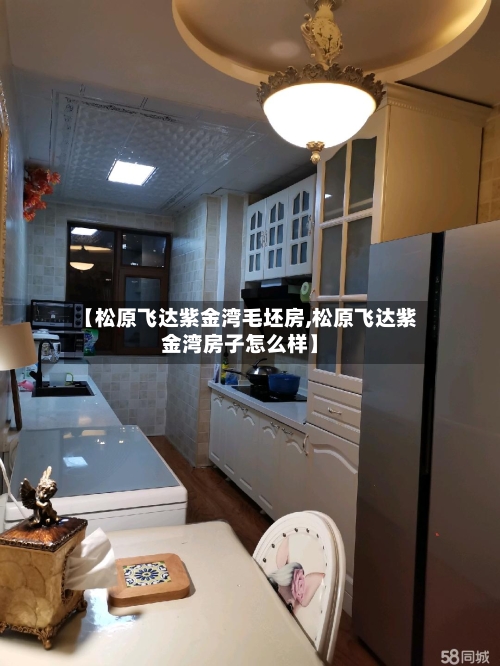 【松原飞达紫金湾毛坯房,松原飞达紫金湾房子怎么样】-第2张图片