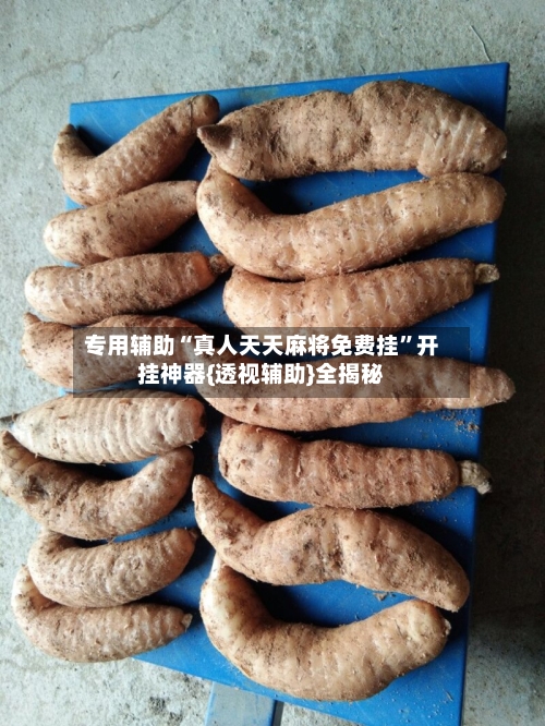 专用辅助“真人天天麻将免费挂	”开挂神器{透视辅助}全揭秘-第2张图片