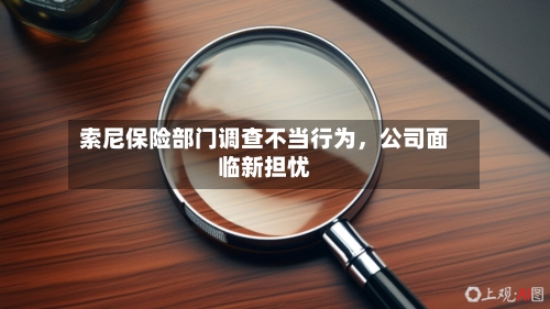 索尼保险部门调查不当行为，公司面临新担忧-第2张图片