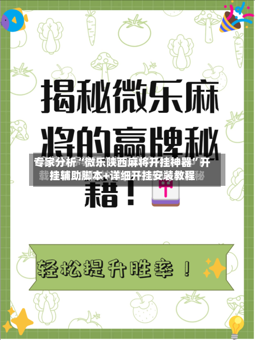 专家分析“微乐陕西麻将开挂神器”开挂辅助脚本+详细开挂安装教程-第2张图片