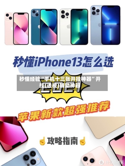 秒懂经验“手机十三张开挂神器”开挂(透视)辅助神器-第2张图片