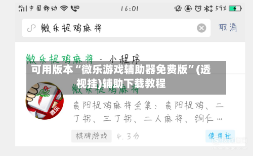 可用版本“微乐游戏辅助器免费版”(透视挂)辅助下载教程-第2张图片