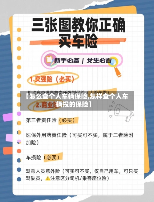 【怎么查个人车辆保险,怎样查个人车辆投的保险】-第2张图片