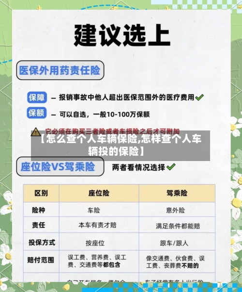 【怎么查个人车辆保险,怎样查个人车辆投的保险】