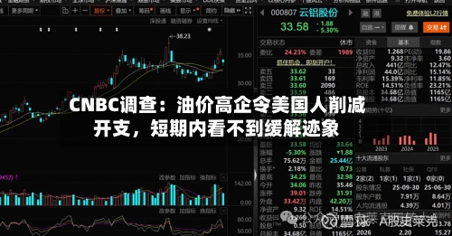 CNBC调查：油价高企令美国人削减开支，短期内看不到缓解迹象-第2张图片