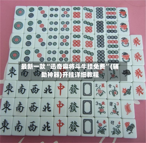 最新一款“迅奇麻将斗牛挂免费	”(辅助神器)开挂详细教程-第2张图片