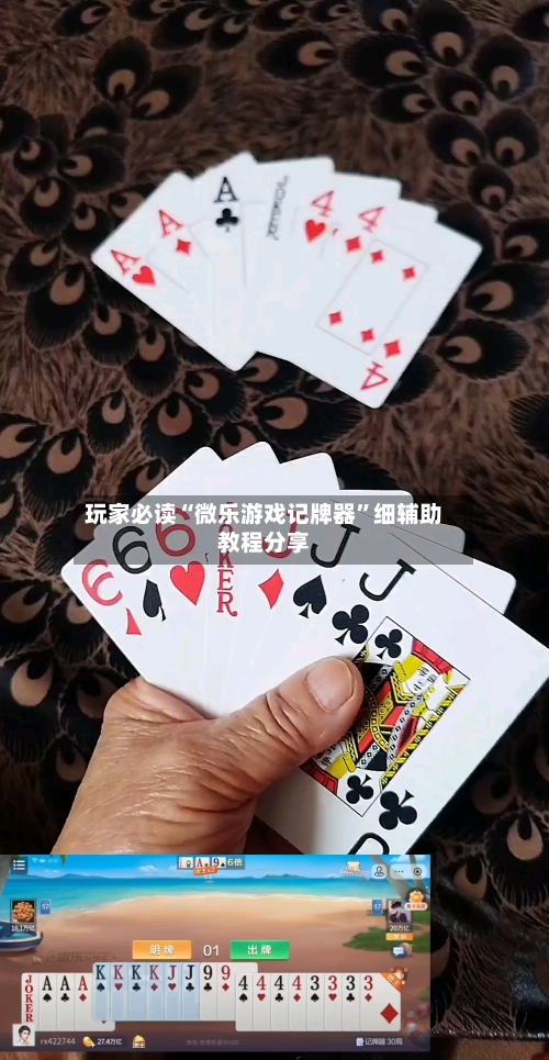 玩家必读“微乐游戏记牌器”细辅助教程分享-第2张图片