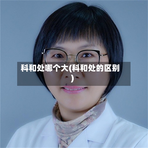 科和处哪个大(科和处的区别)
