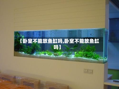 【卧室不能放鱼缸吗,卧室不能放鱼缸吗】-第2张图片