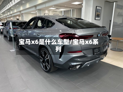 宝马x6是什么车型/宝马x6系列
