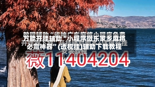 万能开挂辅助“小程序微乐家乡麻将必赢神器”(透视挂)辅助下载教程-第2张图片