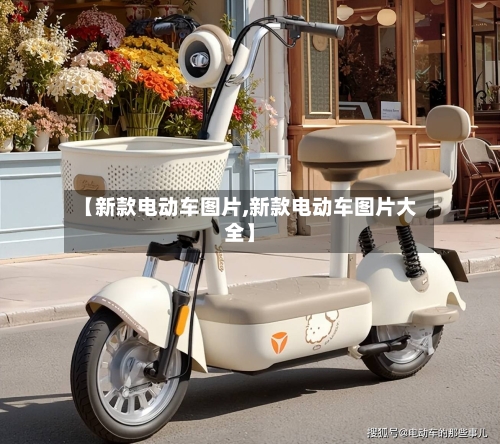 【新款电动车图片,新款电动车图片大全】-第3张图片