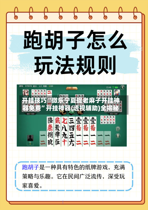 开挂技巧“微乐宁夏捉老麻子开挂神器免费”开挂神器{透视辅助}全揭秘-第2张图片