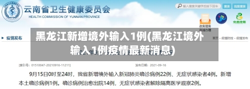 黑龙江新增境外输入1例(黑龙江境外输入1例疫情最新消息)-第2张图片
