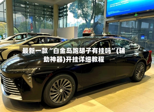 最新一款“白金岛跑胡子有挂吗”(辅助神器)开挂详细教程