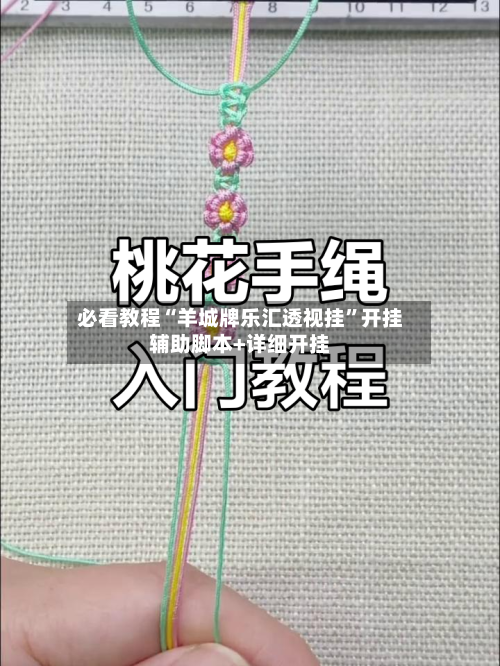 必看教程“羊城牌乐汇透视挂”开挂辅助脚本+详细开挂