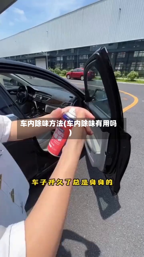车内除味方法(车内除味有用吗)-第2张图片