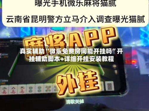 真实辅助“微乐免费房间能开挂吗”开挂辅助脚本+详细开挂安装教程-第2张图片