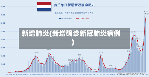 新增肺炎(新增确诊新冠肺炎病例)