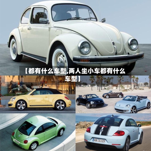 【都有什么车型,两人坐小车都有什么车型】-第3张图片