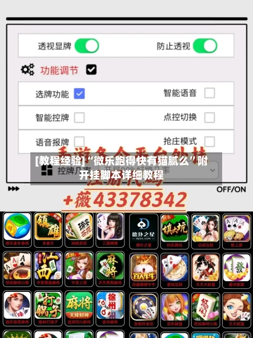 [教程经验]“微乐跑得快有猫腻么”附开挂脚本详细教程