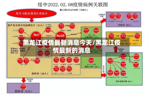 黑龙江疫情最新消息今天/黑龙江疫情最新的消息-第3张图片
