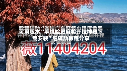 可用版本“手机哈灵麻将开挂神器下载安装”细辅助教程分享-第3张图片