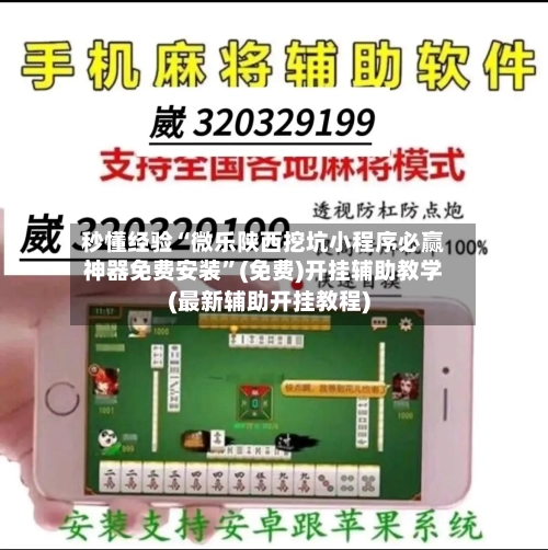 秒懂经验“微乐陕西挖坑小程序必赢神器免费安装	”(免费)开挂辅助教学(最新辅助开挂教程)-第2张图片