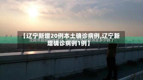 【辽宁新增20例本土确诊病例,辽宁新增确诊病例1例】-第3张图片