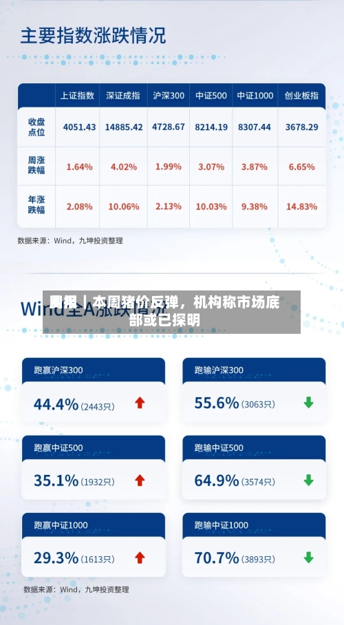 费用周报｜本周猪价反弹，机构称市场底部或已探明-第2张图片