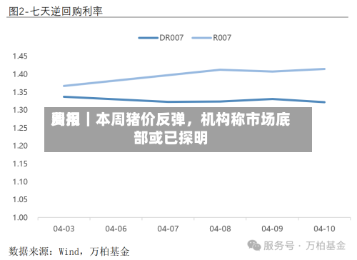 费用周报｜本周猪价反弹，机构称市场底部或已探明-第3张图片