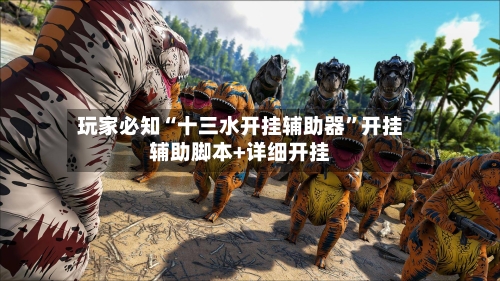 玩家必知“十三水开挂辅助器	”开挂辅助脚本+详细开挂-第2张图片