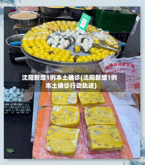 沈阳新增1例本土确诊(沈阳新增1例本土确诊行动轨迹)