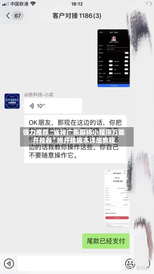 强力推荐“雀神广东麻将小程序万能开挂器”附开挂脚本详细教程-第3张图片
