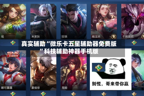 真实辅助“微乐卡五星辅助器免费版”科技辅助神器手机版-第3张图片