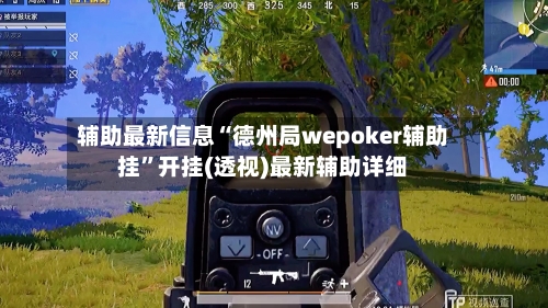 辅助最新信息“德州局wepoker辅助挂	”开挂(透视)最新辅助详细-第2张图片