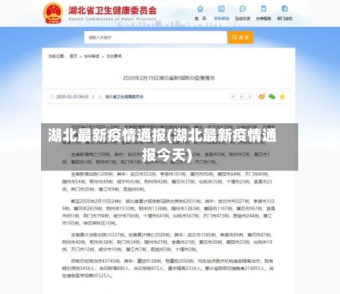 湖北最新疫情通报(湖北最新疫情通报今天)-第2张图片