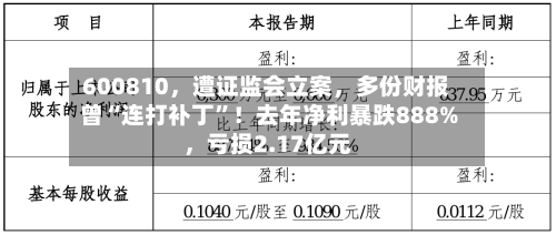 600810，遭证监会立案	，多份财报曾“连打补丁	”！去年净利暴跌888%，亏损2.17亿元-第2张图片