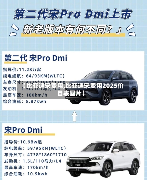 【比亚迪宋费用,比亚迪宋费用2025价目表图片】-第3张图片