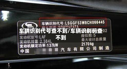 车辆识别代号查不到/车辆识别码查不到-第2张图片