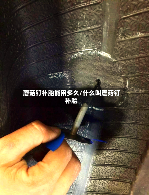 蘑菇钉补胎能用多久/什么叫蘑菇钉补胎-第2张图片