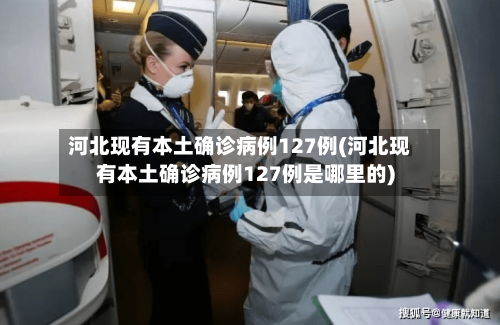 河北现有本土确诊病例127例(河北现有本土确诊病例127例是哪里的)-第2张图片