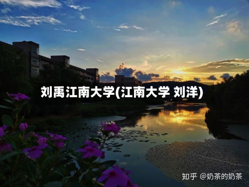 刘禹江南大学(江南大学 刘洋)