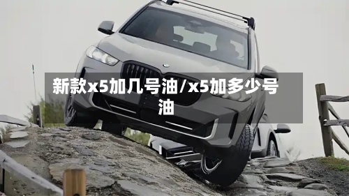 新款x5加几号油/x5加多少号油-第3张图片